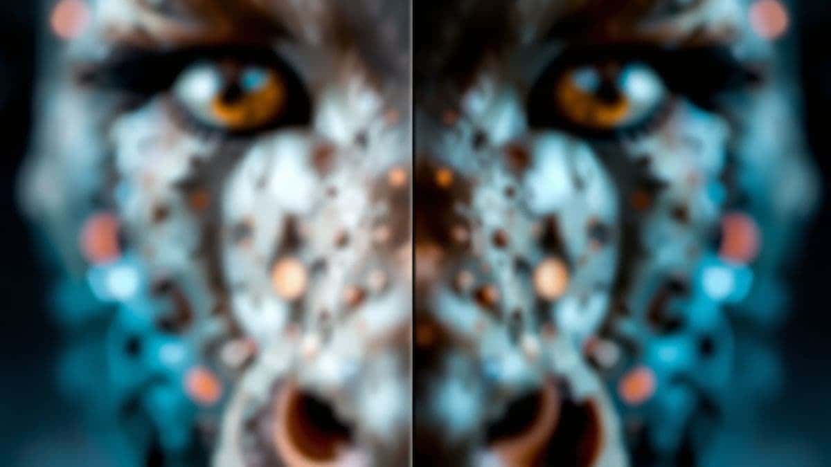 detailed close up of ai unblur process interface showing blurred photo being transformed to sharp high resolution result detailed close up of ai unblur process interface showing blurred photo being transformed to sharp high resolution result